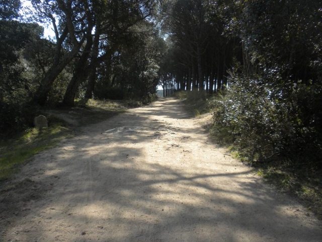  Dirt road 
